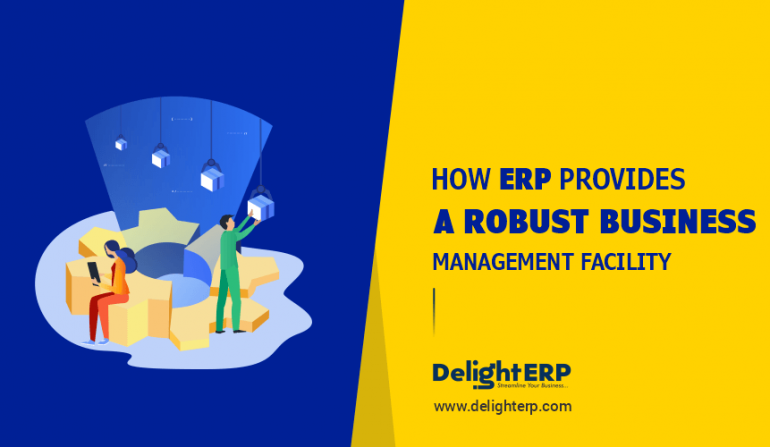How ERP Provides Robust Business Management Facility