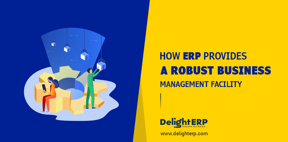 How ERP Provides Robust Business Management Facility