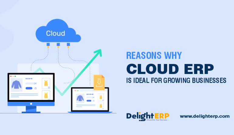 Reasons Why Cloud ERP Is Ideal for Growing Businesses