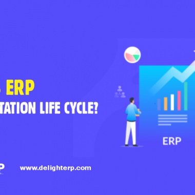 ERP Implementation Life-cycle