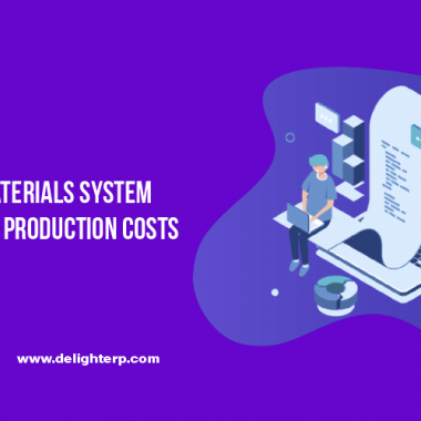 ERP Bill of Materials System for Managing Production Costs